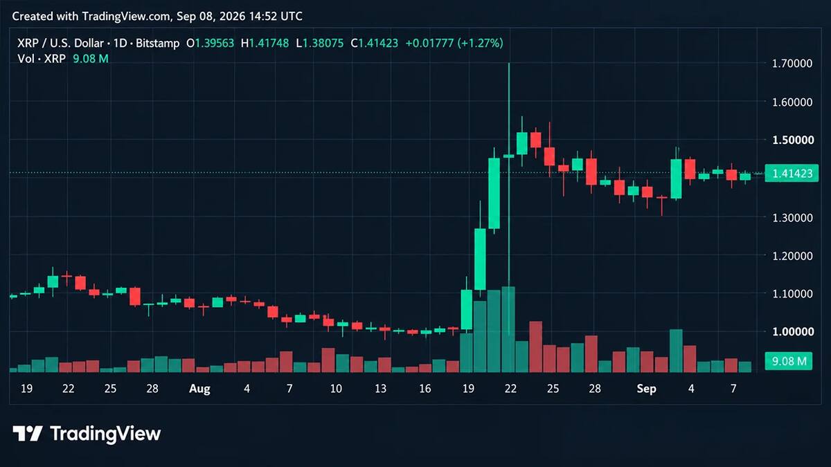 Биткоин восстановился к $79 000 после падения ниже $78 000; Zcash приближался к $1000 на новостях о китах