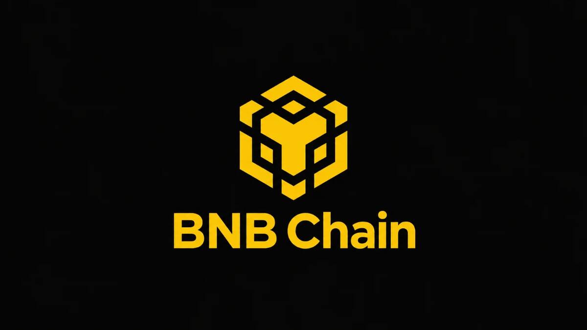 BNB Chain первой превысила 2 млн держателей токенизированных активов