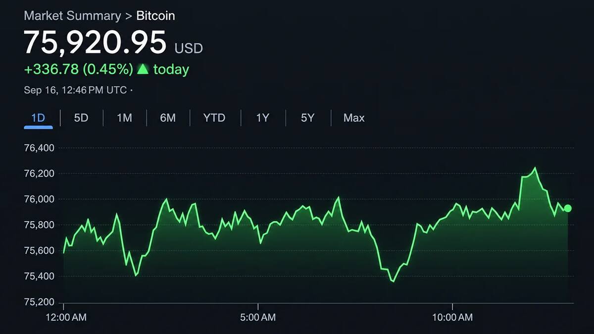 Биткоин отскочил от 74 913 долларов и торгуется у 77 000