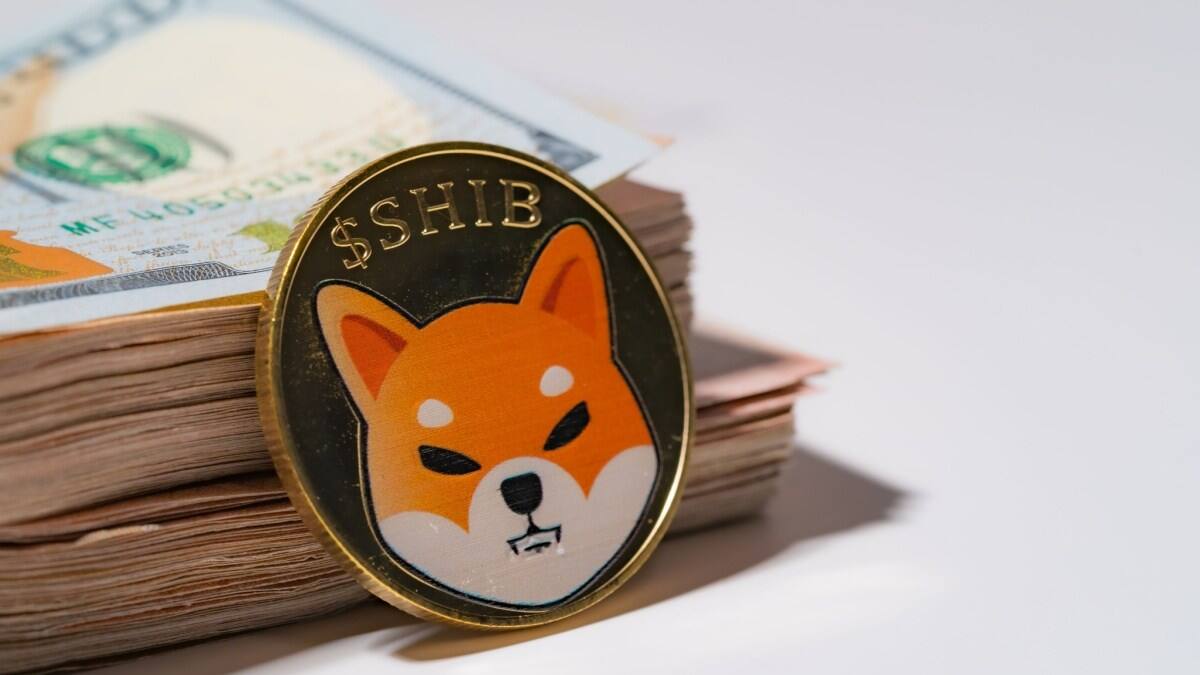 Приток SHIB на биржи за сутки вырос на 75 млрд токенов